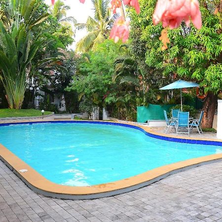 Villa Samaara3 Condolim Goa 500Mts From Beach Candolim Eksteriør billede